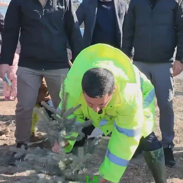 Bir Buçuk Milyon Fidan ile Nevşehir'de Yeşil Dönüşüm Başlıyor