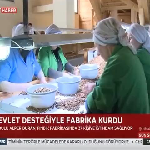 Ordu'da Tarımsal Yatırımlar Fındık Üretimi ve İstihdama Katkı Sağlıyor
